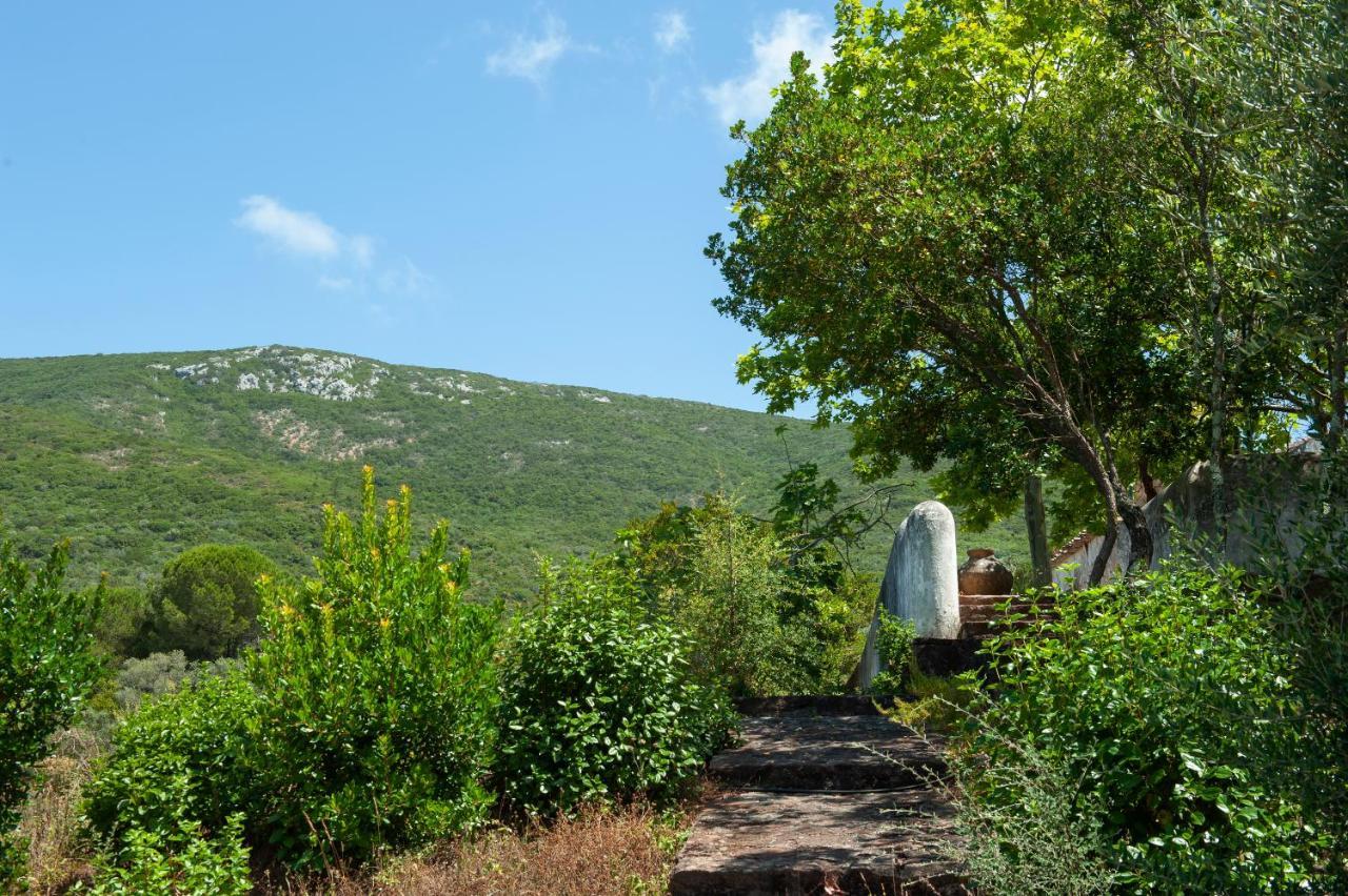 Quinta Da Arrabida Villa Sesimbra Exterior foto
